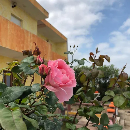 Apartment Abbaidda 3 *