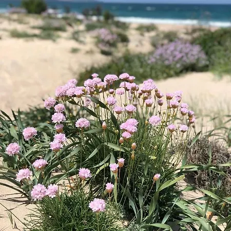 Abbaidda 3 Apartament Valledoria (Sardinia)